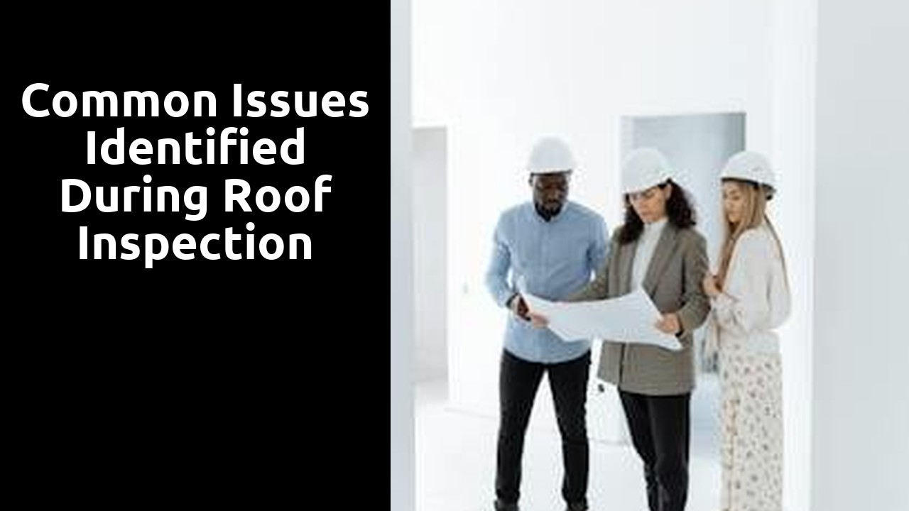 Common Issues Identified during Roof Inspection