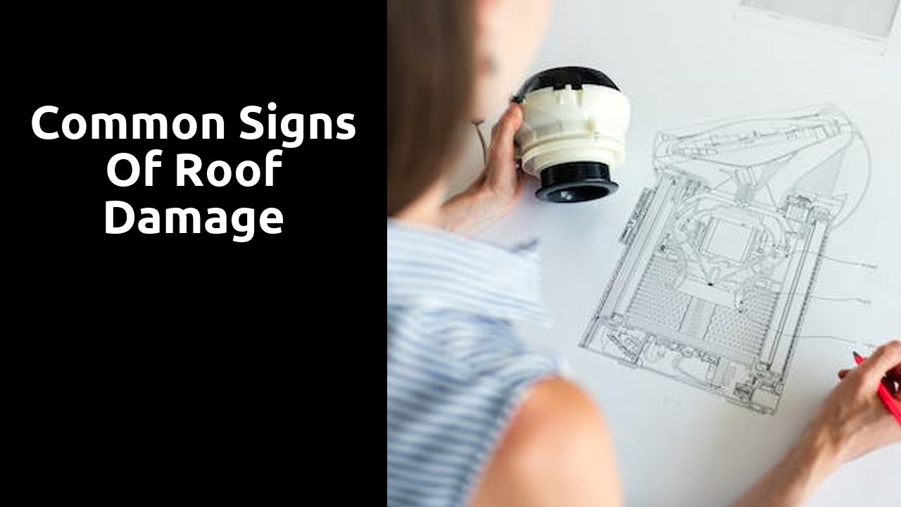 Common Signs of Roof Damage