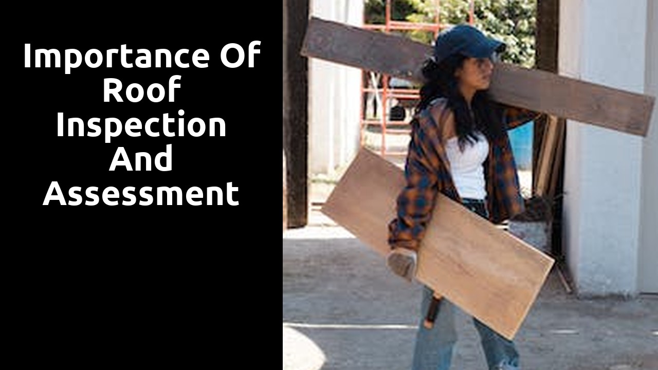 Importance of Roof Inspection and Assessment