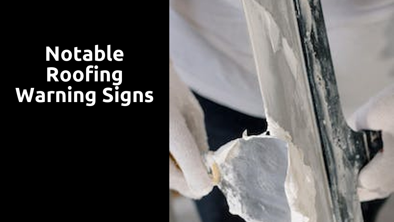 Notable Roofing Warning Signs