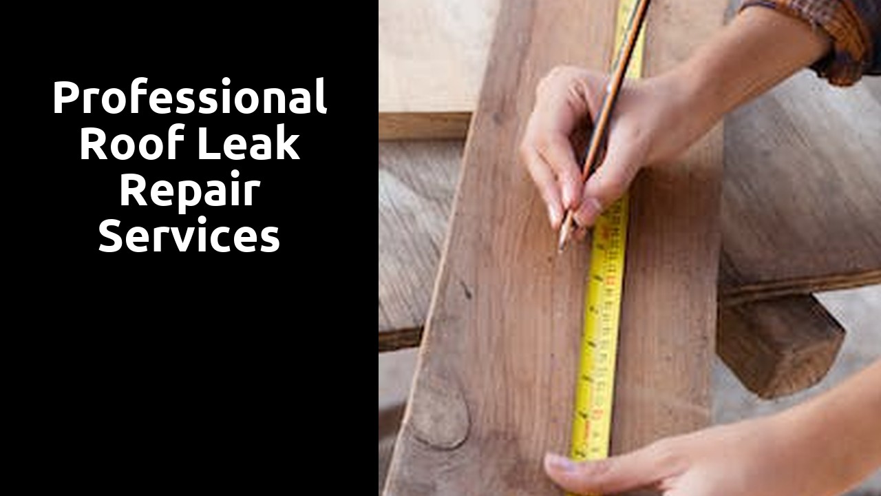 Professional Roof Leak Repair Services