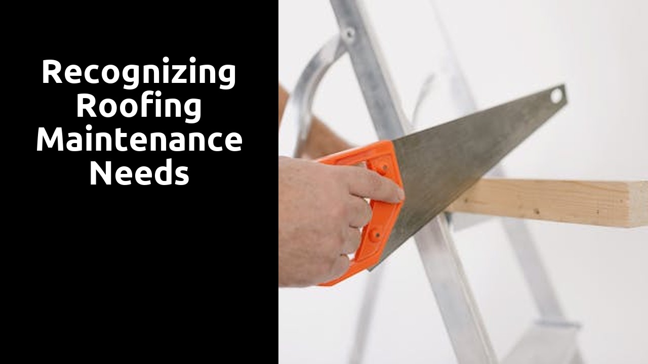 Recognizing Roofing Maintenance Needs