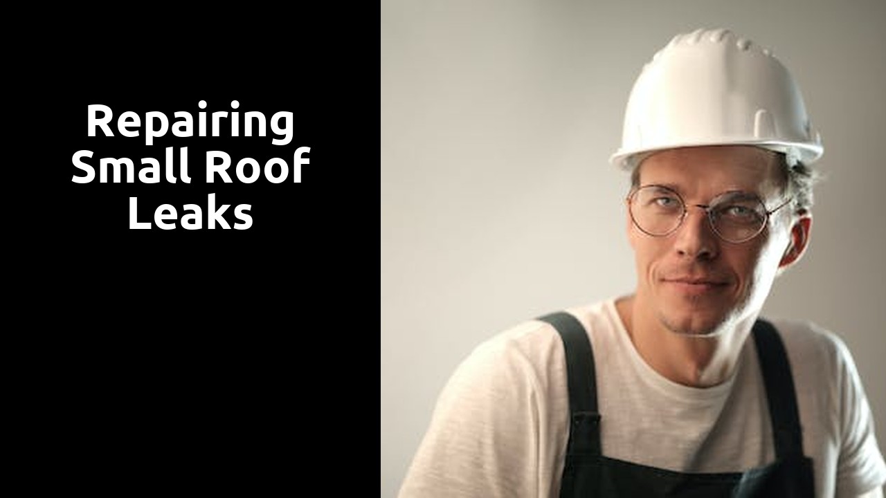 Repairing Small Roof Leaks